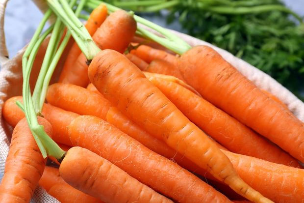 Carrot Carrot