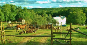 A beautiful WWOOF farm in New Brunswick, Canada. 