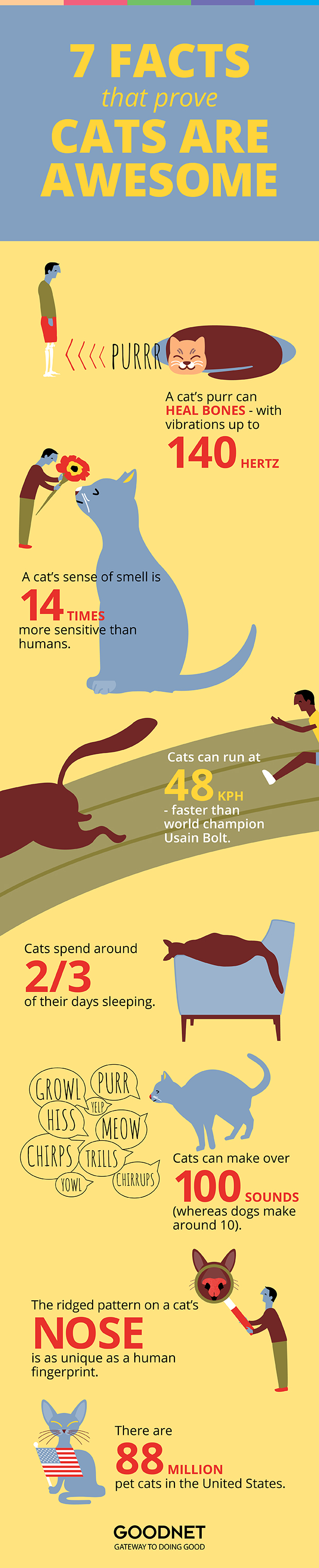 7 Facts That Prove Cats are Awesome: 1. A cat’s purr can heal bones - with vibrations up to 140 Hertz, 2. A cat’s sense of smell is 14 times more sensitive than humans, 3. Cats run at 48 kph - faster than world champion Usain Bolt, 4. Cats spend around ? of their days sleeping, 5. Cats can make over 100 sounds (whereas dogs make around 10) 6. The ridged pattern on a cat’s nose is as unique as a human fingerprint, 7. There are 88 million pet cats in the United States